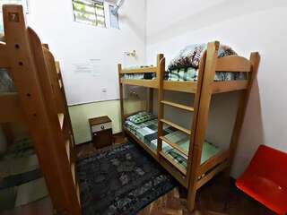 Хостелы Shamrock Republic Square Hostel and Tours Ереван Кровать в общем номере для женщин с 4 кроватями-3